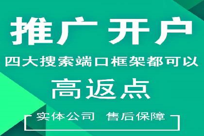 金融行业SEM服务的创新应用与效果